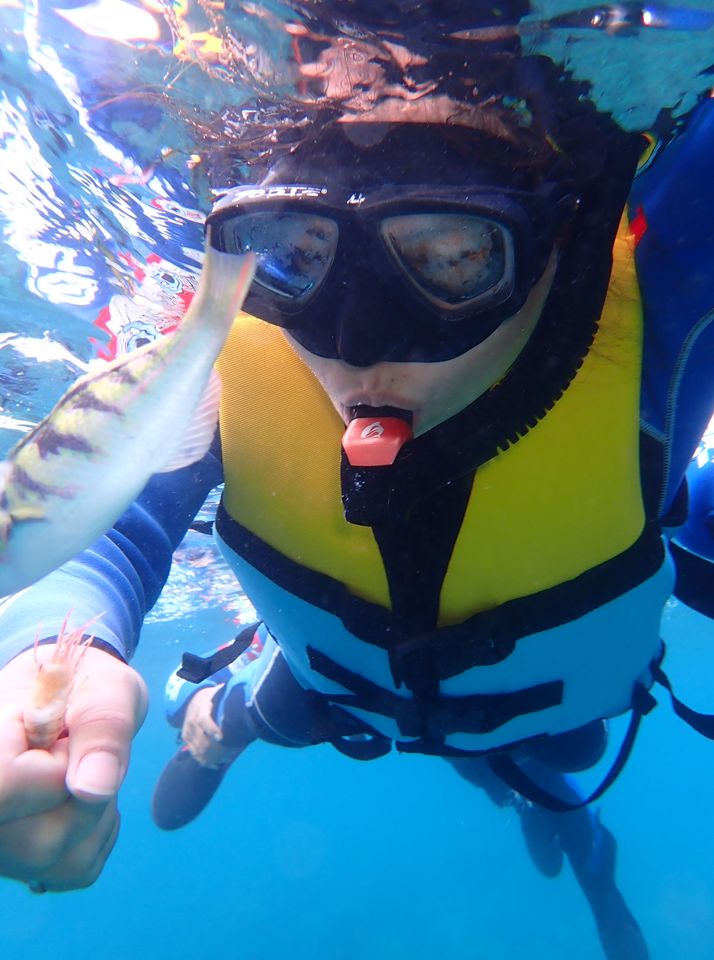 澎湖旅遊-海底漫步(漫步、浮潛)